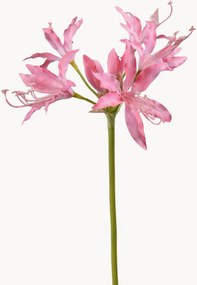 Set di 2 fiori artificiali Nerine