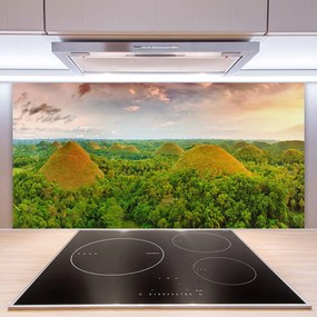 Pannello paraschizzi cucina Foresta della giungla della natura 100x50 cm
