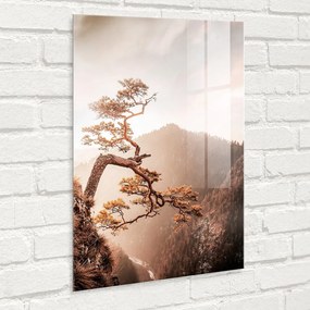 Dipinto su vetro 50x70 cm Brown Tree - Styler