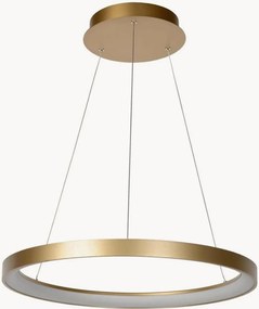 Lampada a sospensione a LED con luce regolabile Vidal