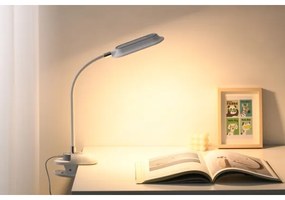 Immax 08997L - Lampada da tavolo LED+CCT dimmerabile con clip CLIP 7,5W/230V bianca