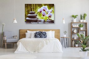 Stampa su tela – Natura morta spa