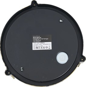 Lampada da parete e da soffitto per esterni oro antico rotonda IP44 - Noutica