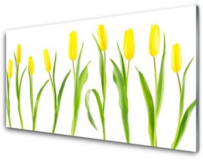 Quadro vetro Fiori di tulipani gialli 100x50 cm 2 appendini