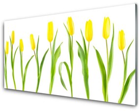 Quadro vetro Fiori di tulipani gialli 100x50 cm