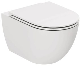 Wc Sospeso Senza Brida Azzurra Ceramica "Comoda" Bianco Lucido