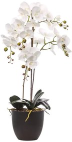 Composizione di piante artificiali senza vaso Phalaenopsis H 40