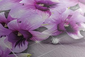 Quadro su tela – Fiori viola su sfondo astratto