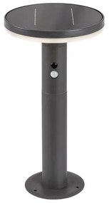 Rabalux 77018 - Luce solare a LED con sensore ALASKA LED/10W/3,7V IP44