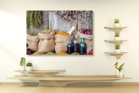 Quadro su tela – Erbe medicinali