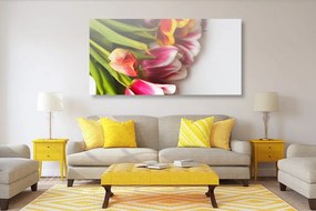 Quadro su tela – Bouquet di tulipani colorati