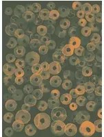 Coordonne Carta da parati panoramica Cellular Patterns - Amber
