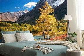 Carta da parati – Natura meravigliosa in Kamchatka