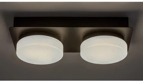 Rabalux 75002 - Lampada LED da soffitto bagno ATTICHUS 2x5,5W IP44