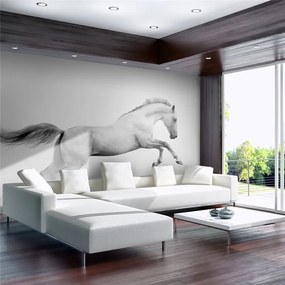 Fotomurale  White gallop  Colore bianco e nero, Dimensioni e Misure 350x270