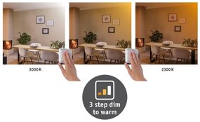 Paulmann 79799 - LED/19W Plafoniera CARPO 230V 2300/2500/3000K