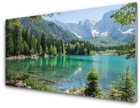 Quadro in vetro Montagne Lago Foresta Natura 100x50 cm