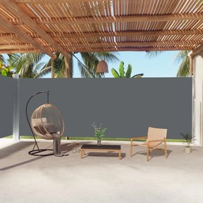 Tenda Da Sole Laterale Retrattile Antracite 220x1000 Cm /