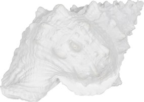 Statua in poliresina (altezza 12 cm) Seashell - Ixia