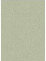 Cole & Son Carta da parati Pebble - Sage