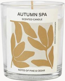 Candela profumata Autumn Spa (pino & cedro)