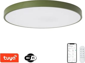 Brilagi-LED dimmerabile lampada per piscina POOL SMART LED/100W/230V 80 cm Wi-Fi Tuya+telecomando verde