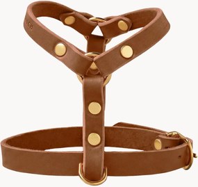 Imbracatura per cani in pelle Y-Harness, varie misure