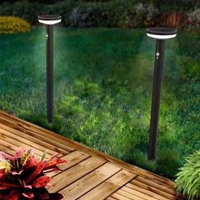 Paletto da giardino Solare Nero 80cm con Sensore Movimento e Picchetto Colore  Bianco Naturale 4.000K