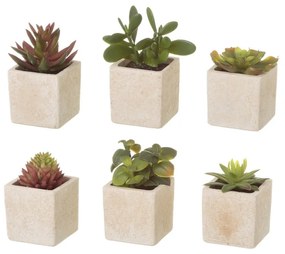 Piante artificiali in set da 6 (altezza 9,5 cm) Cactus - Casa Selección