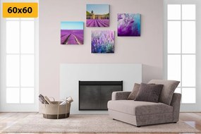 Set di quadri – Lavanda con astrazione