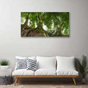 Quadro su tela Alberi, piante, natura 100x50 cm