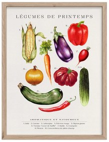 Dipinto 30x40 cm Legumes – Styler