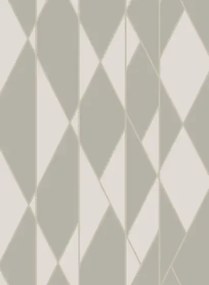 Cole & Son Tapete Oblique - Grey & White
