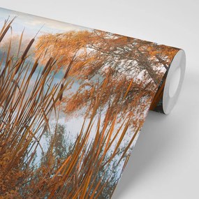 Carta da parati – Lago nel mezzo della natura autunnale