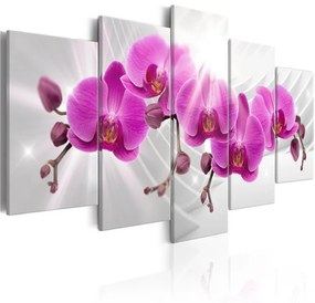 Quadro Abstract Garden: Pink Orchids