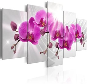 Quadro  Abstract Garden: Pink Orchids  Colore Grigio, Dimensioni e Misure 200x100