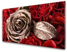 Quadro su vetro Fiori di rose 100x50 cm