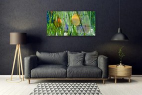 Quadro di vetro Pesce Alghe Natura 100x50 cm