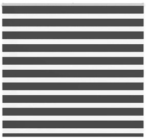 Tenda A Rullo Zebra Nero Larghezza Tessuto 155,9 Cm Poliestere /