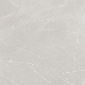 Piastrella da pavimento e rivestimento interno rettificato Eternal Pearl in gres porcellanato opaco grigio 120 x 120 cm Sp. 9 mm traffico intenso (pei 4/5) R9 1.44 mq