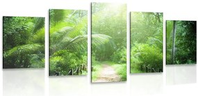 Quadri 5 pezzi – Sentiero sull'isola delle Seychelles