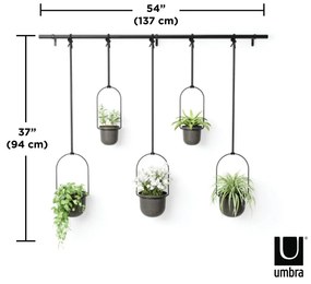 Contenitore in plastica sospeso per vasi di erbe aromatiche 5 pz ø 7,5 cm Triflora - Umbra