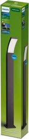 Philips - Lampada da esterno LED SPLAY LED/4,3W/230V 2700K 96 cm IP44