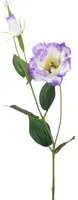 Set 12 Rami Artificiali Lisianthus 2 Fiori H 60 cm