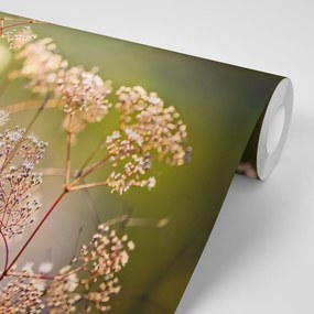 Carta da parati – Natura morta di fiori
