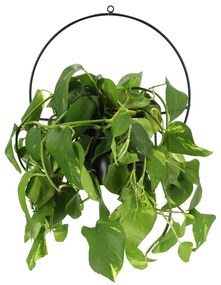 Portavaso appeso in metallo Planter - Esschert Design