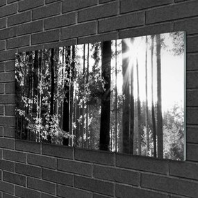 Quadro su vetro Foresta Natura Alberi 100x50 cm