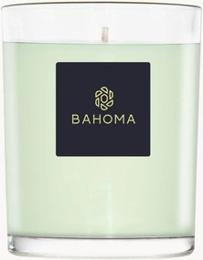 Candela profumata fatta a mano Alchemy (primula, legno d'ambra)