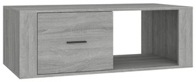 Tavolino Salotto Grigio Sonoma 100x50,5x35 cm Legno Multistrato