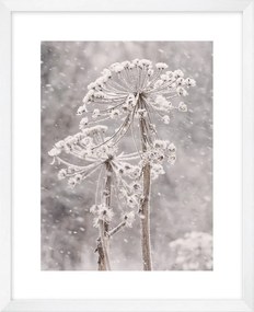 Dipinto 40x50 cm Snow – knor